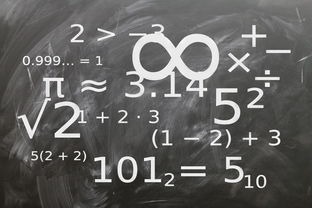 熊猫体育官网-中小学体育课程教学内容优化研究，中小学体育教学内容的衔接研究