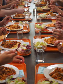 熊猫体育APP-高校运动员膳食营养优化，运动员营养与膳食