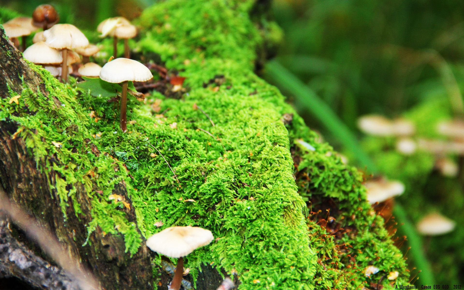 科尔博冲线瞬间引爆现场气氛，科博尔铸造有限公司