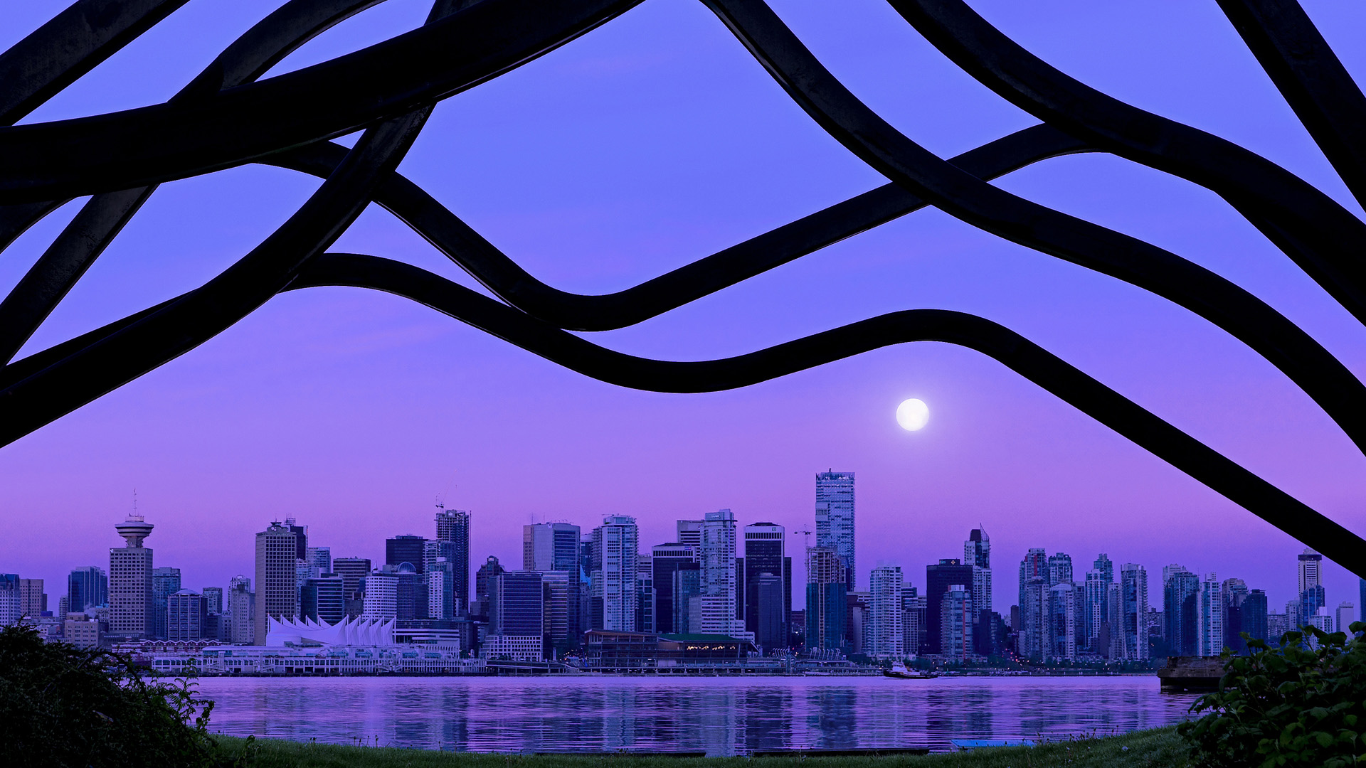 美洲杯天王闪耀：个人能力与团队协作的巅峰展现，美洲杯之王