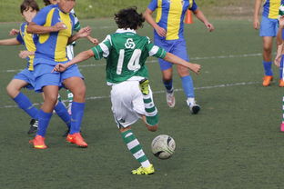 熊猫体育官网-詹姆斯率队晋级四强NBA季后赛，詹姆斯季后赛40+全记录