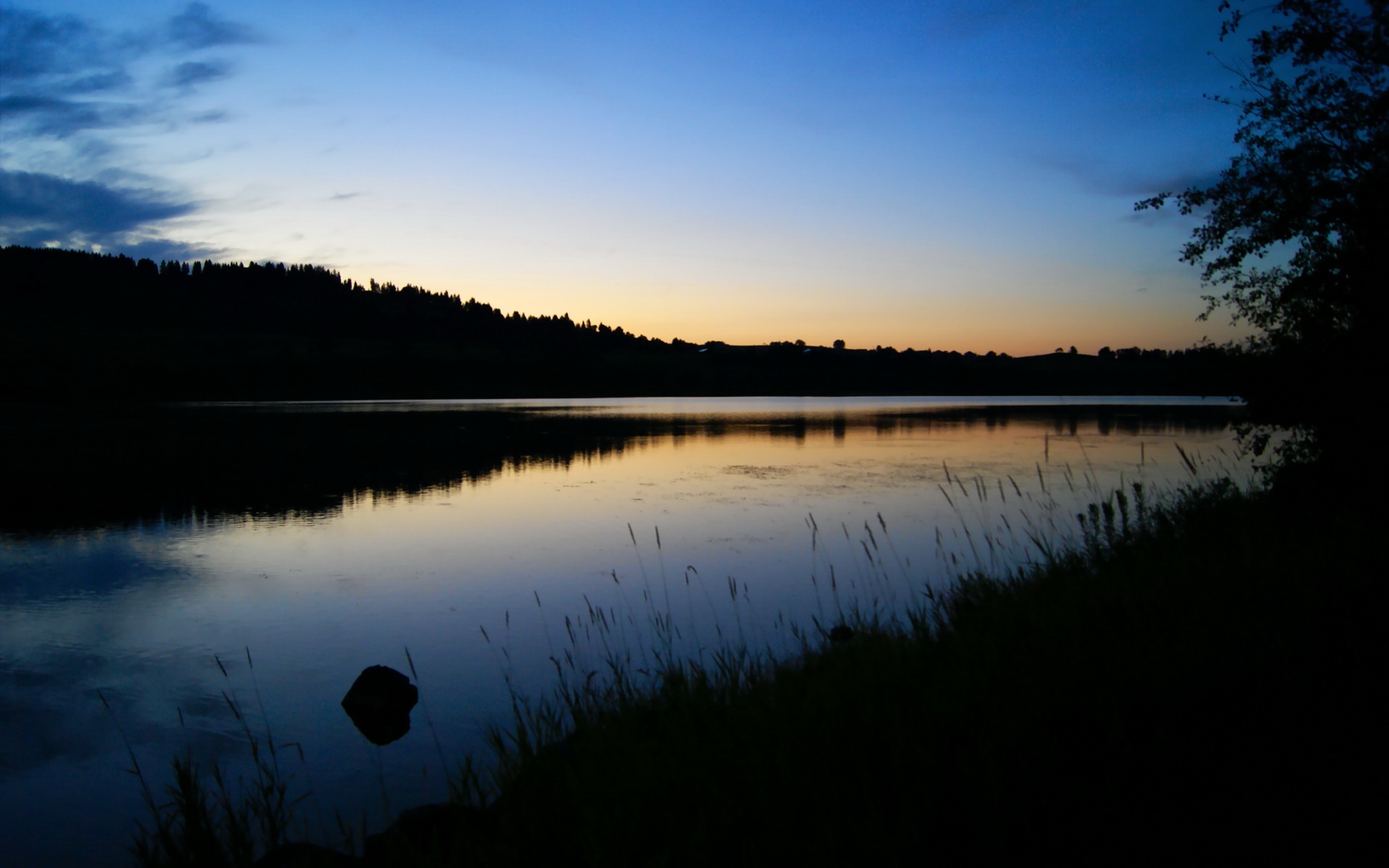 赛尔·阿尔斯塔：无畏迎接挑战，带领南非队走向全球橄榄球之巅